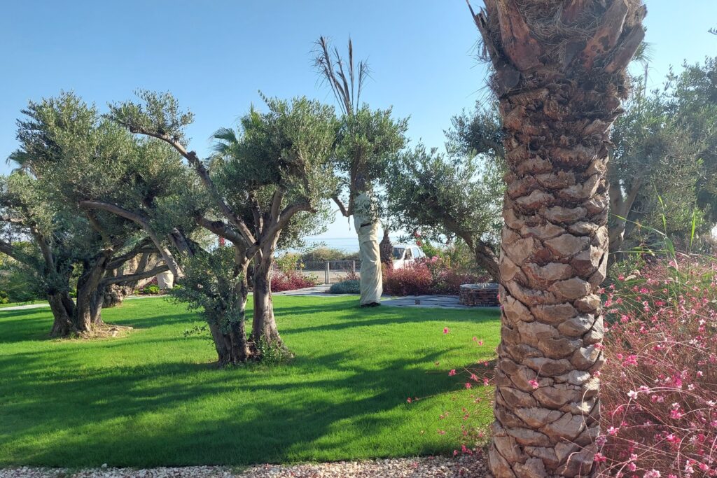 20220921 083440 Edited 1 1024x683