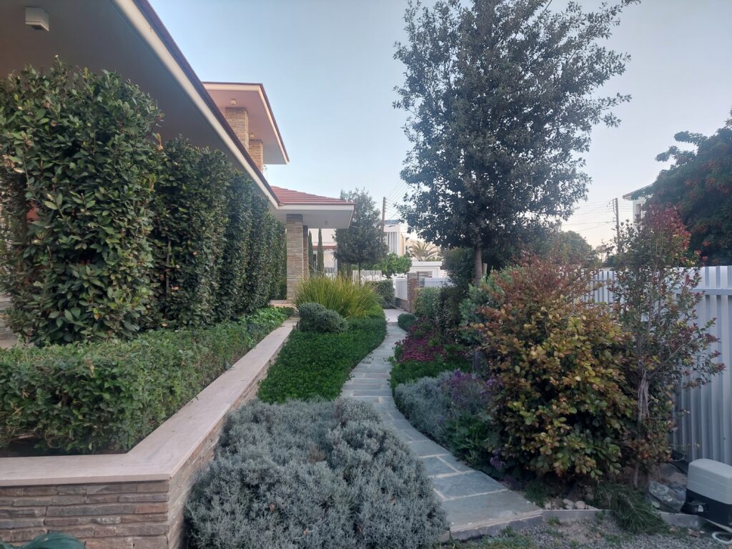 20230406 064416 20230406 064416