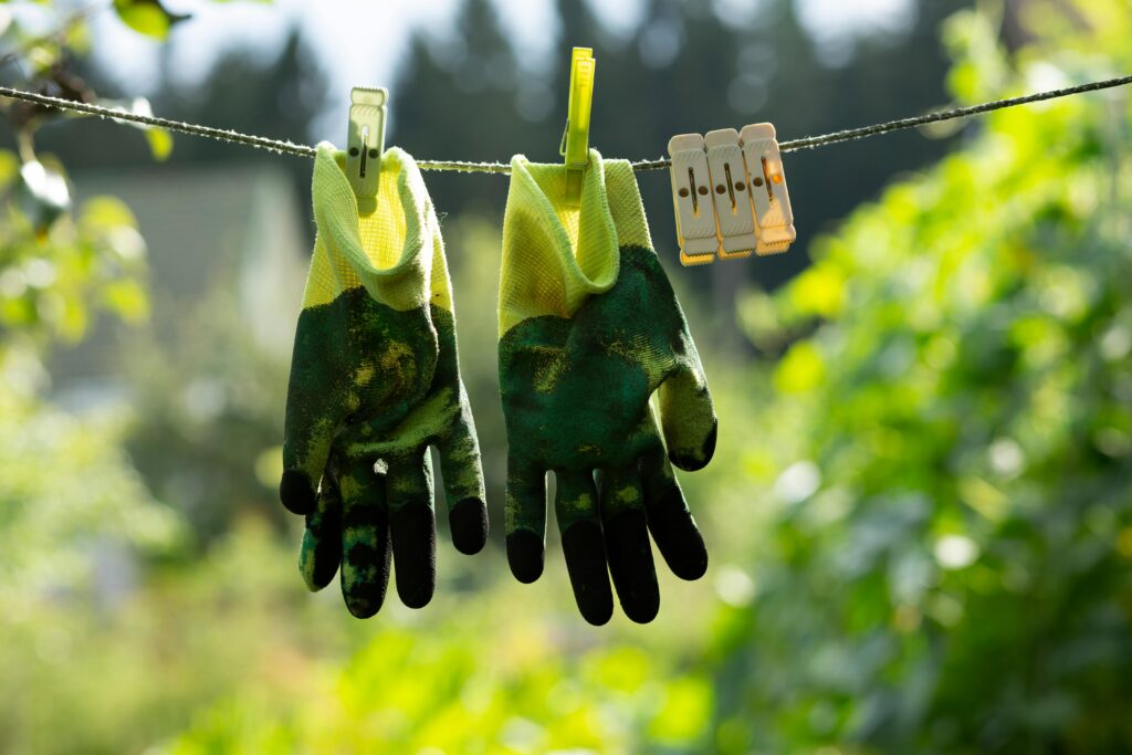 pexels photo 20784382 20784382 Pair of gardening gloves with clothespins on a clothesline in a sunny garden.