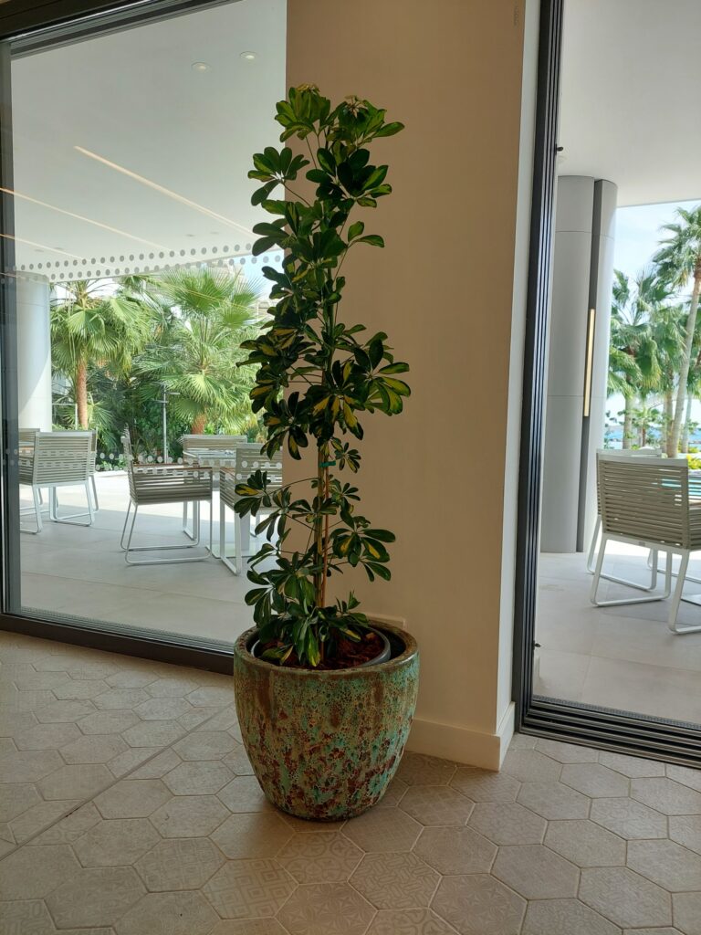Gallery 20221005 140815