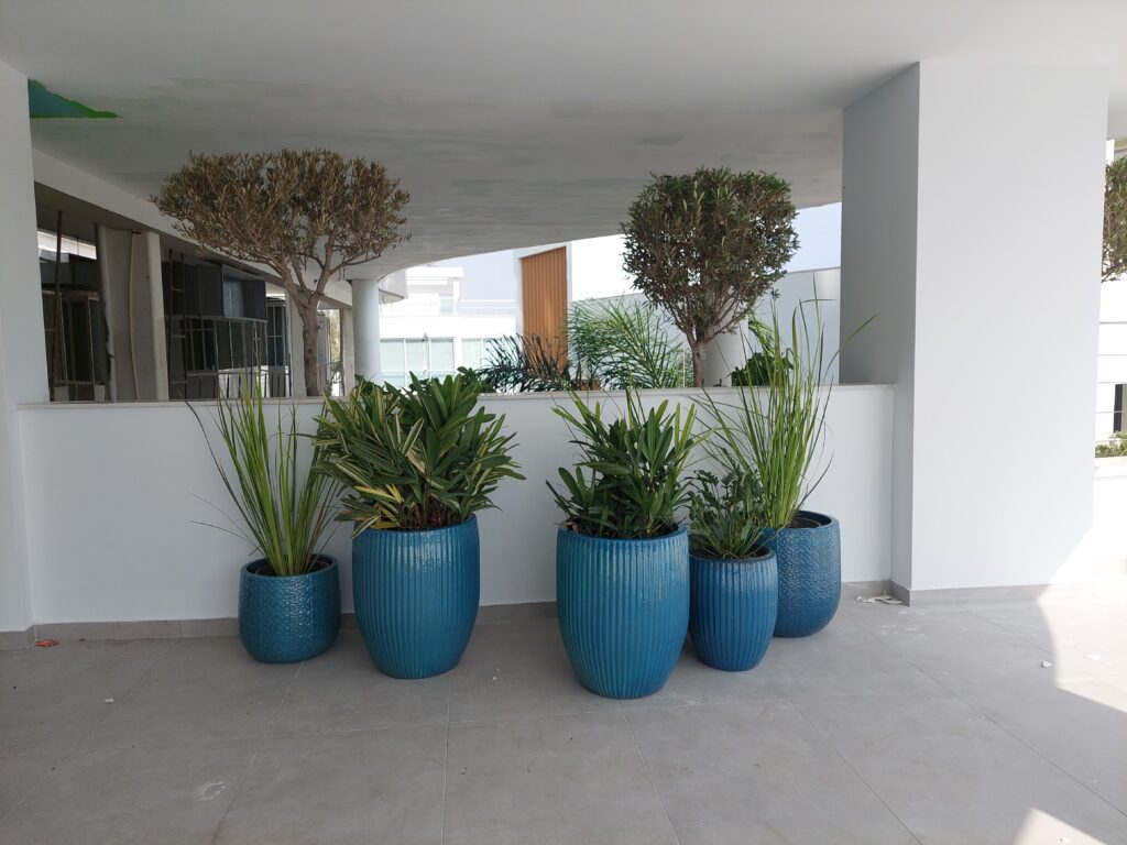 Gallery 20221005 141050