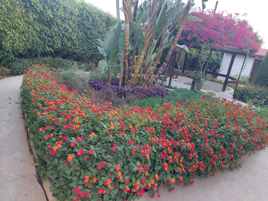 Gallery 20221111 144443