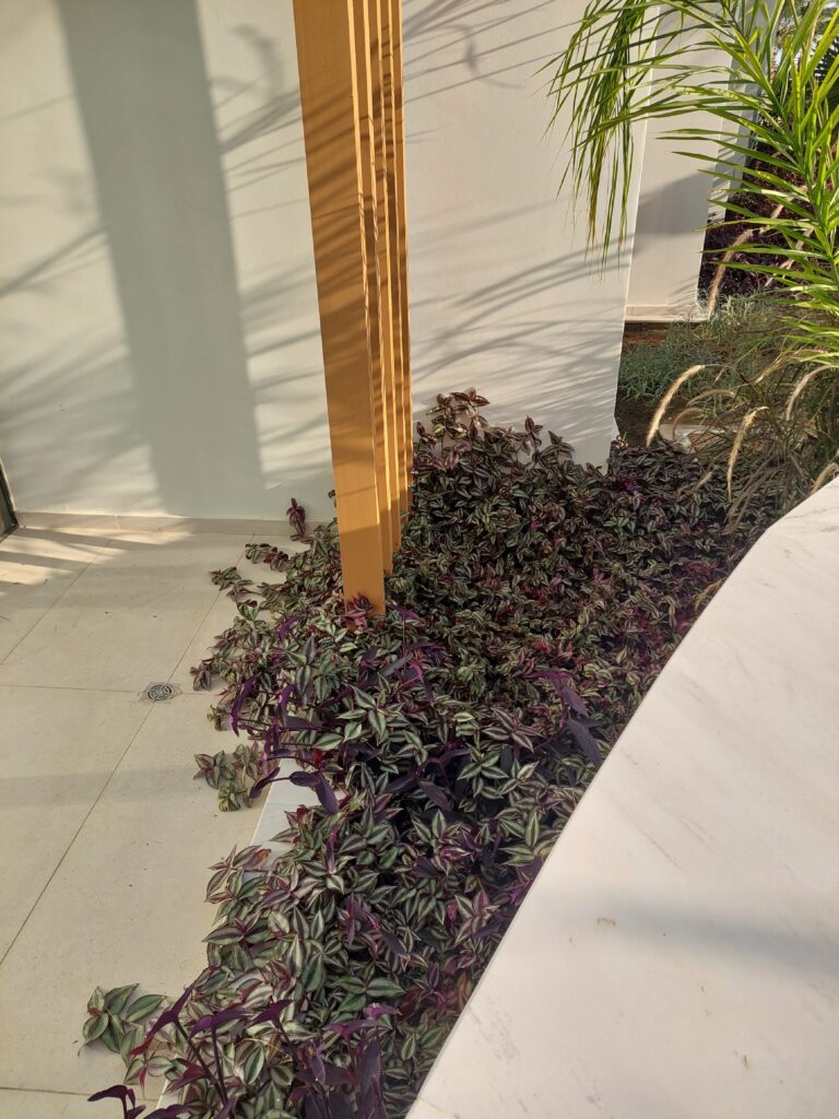 Gallery 20230105 144953
