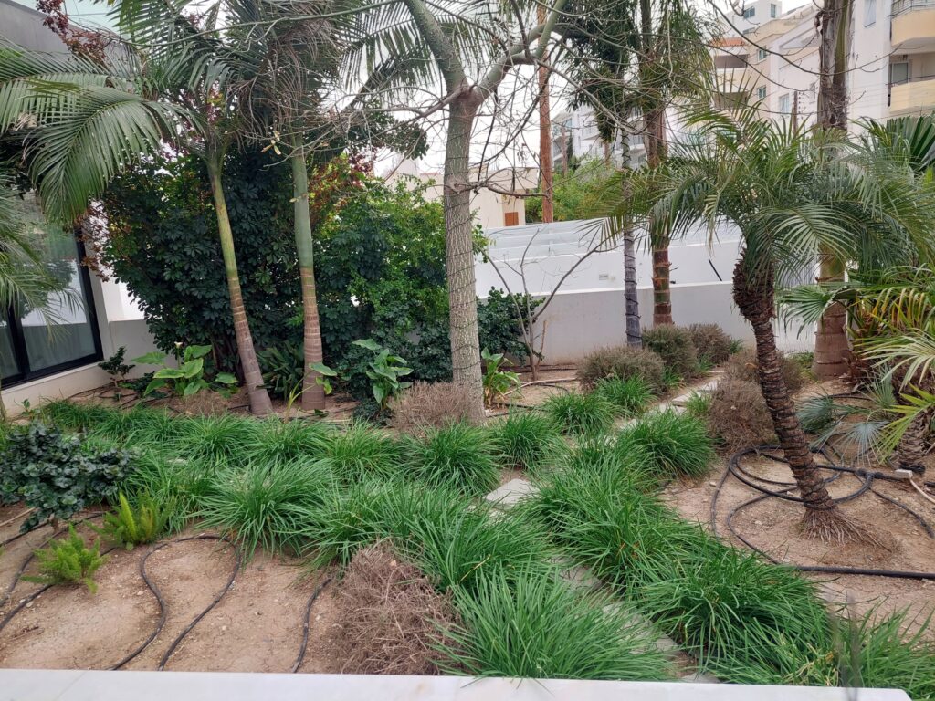 Gallery 20230408 173542
