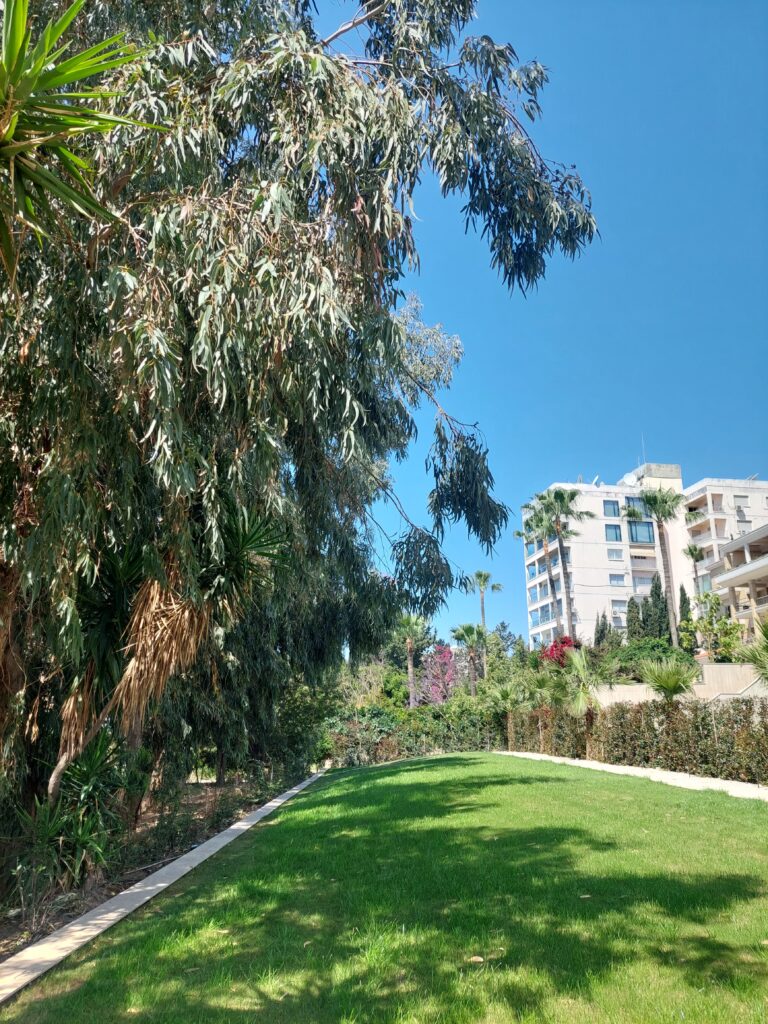 Gallery 20230502 105903
