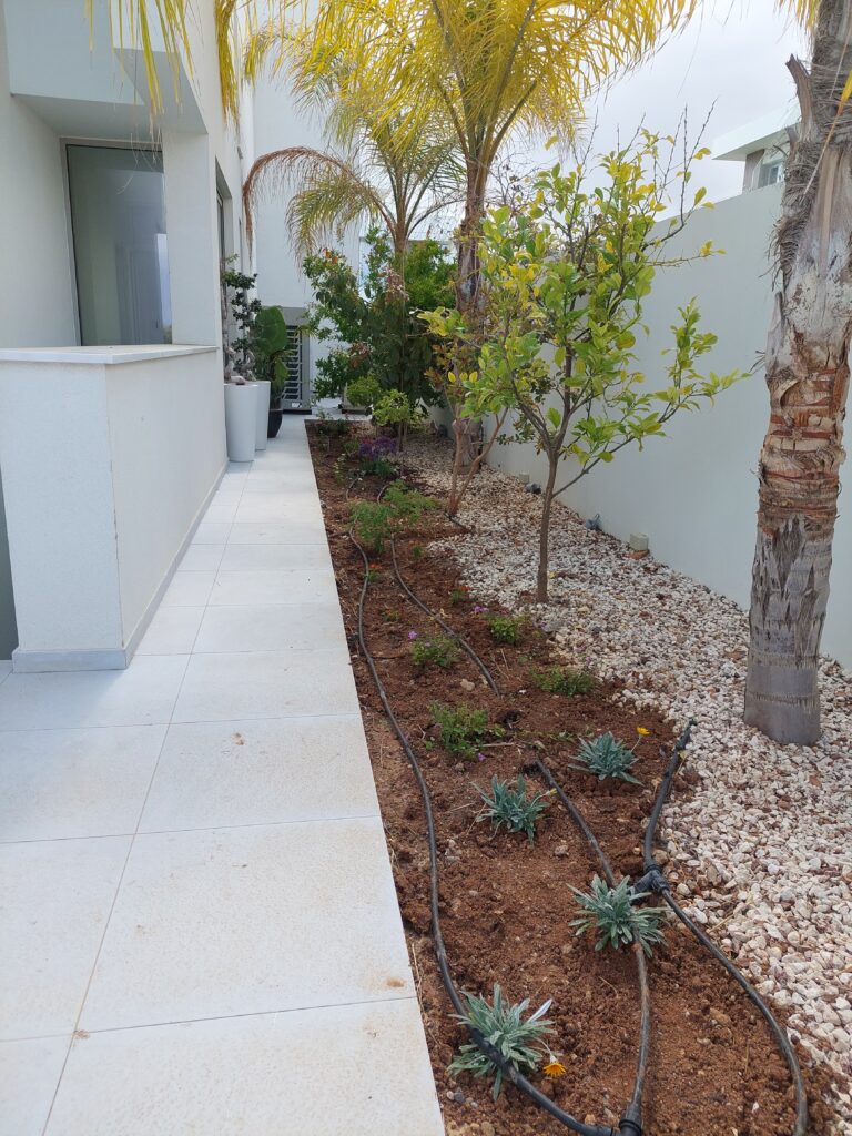 Gallery 20230506 154652