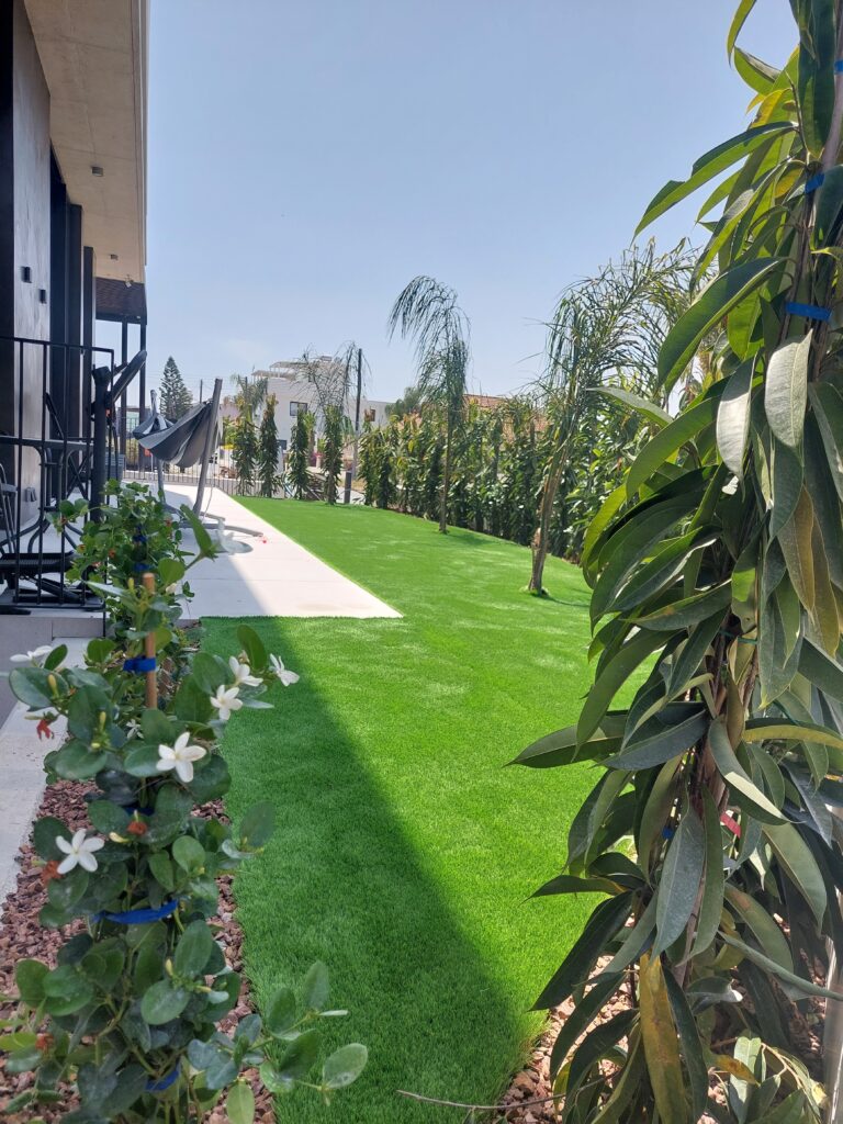 Gallery 20230510 132530 (2)