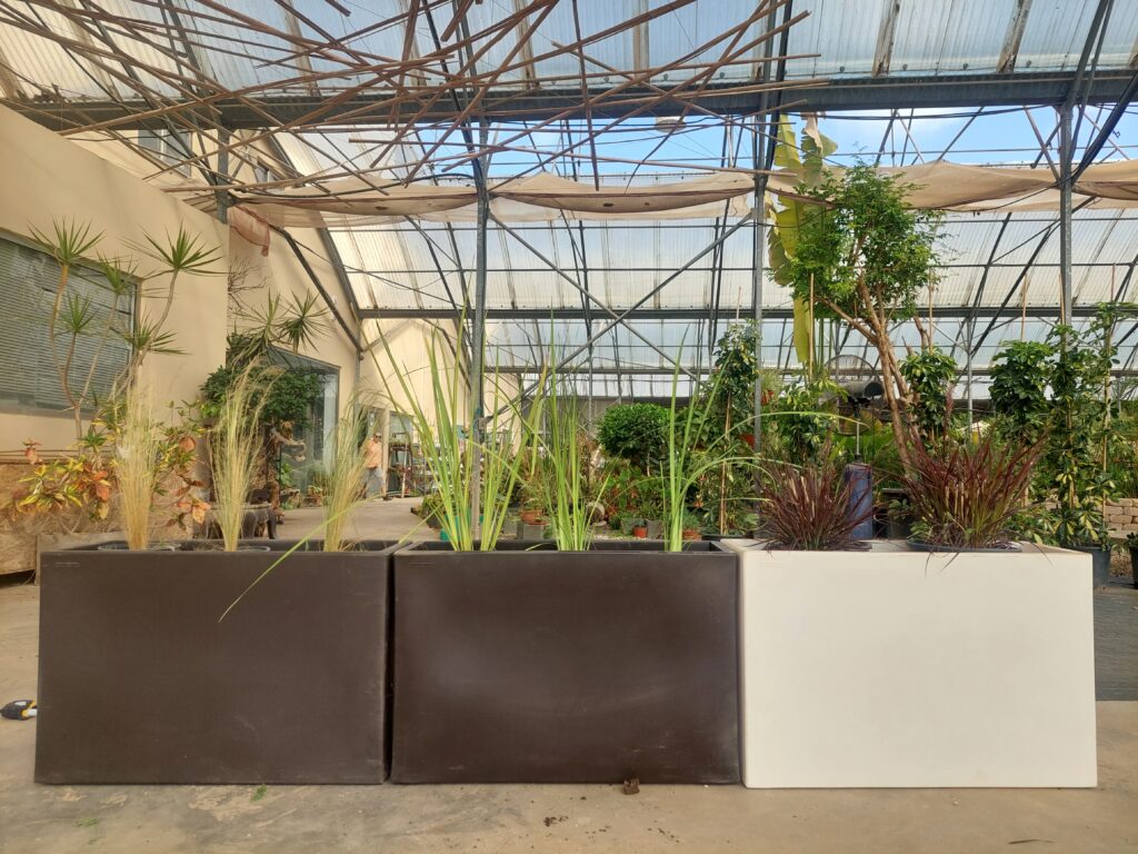Gallery 20230524 090017