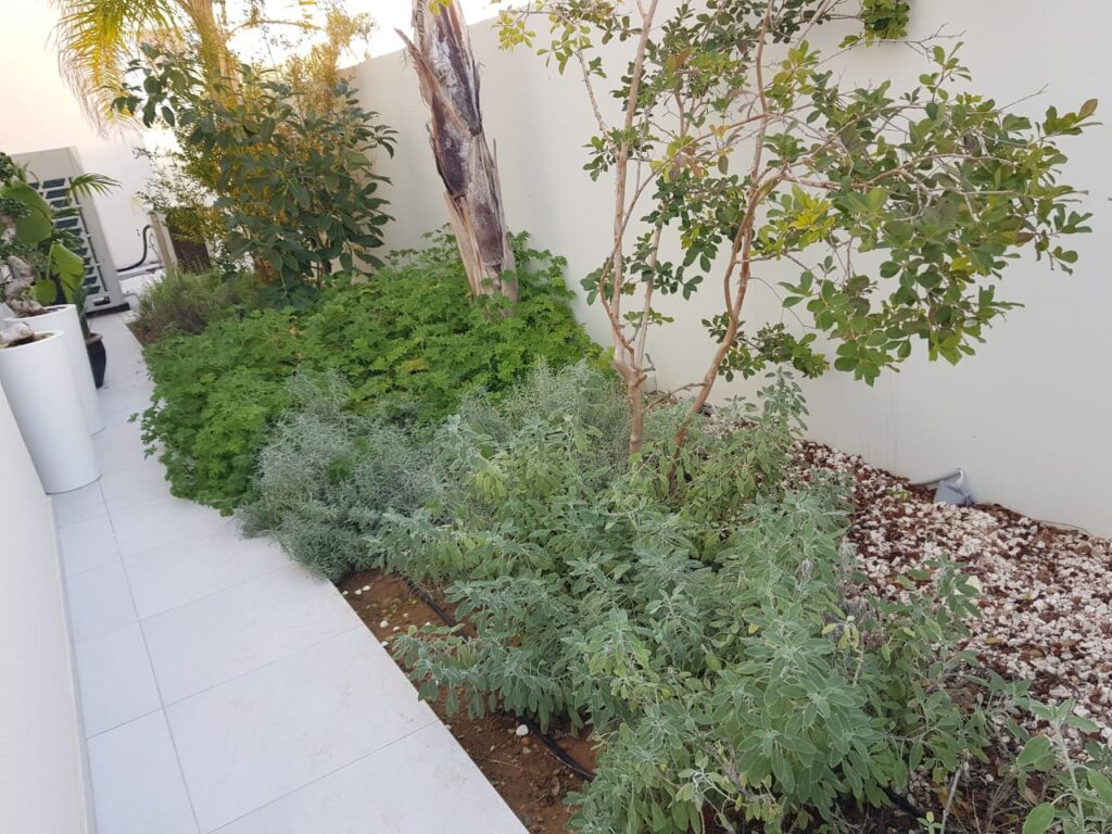 Gallery img 20230120 wa0001